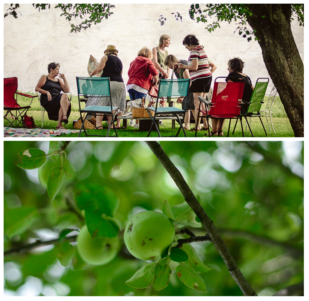 under the apple tree, no casulaties