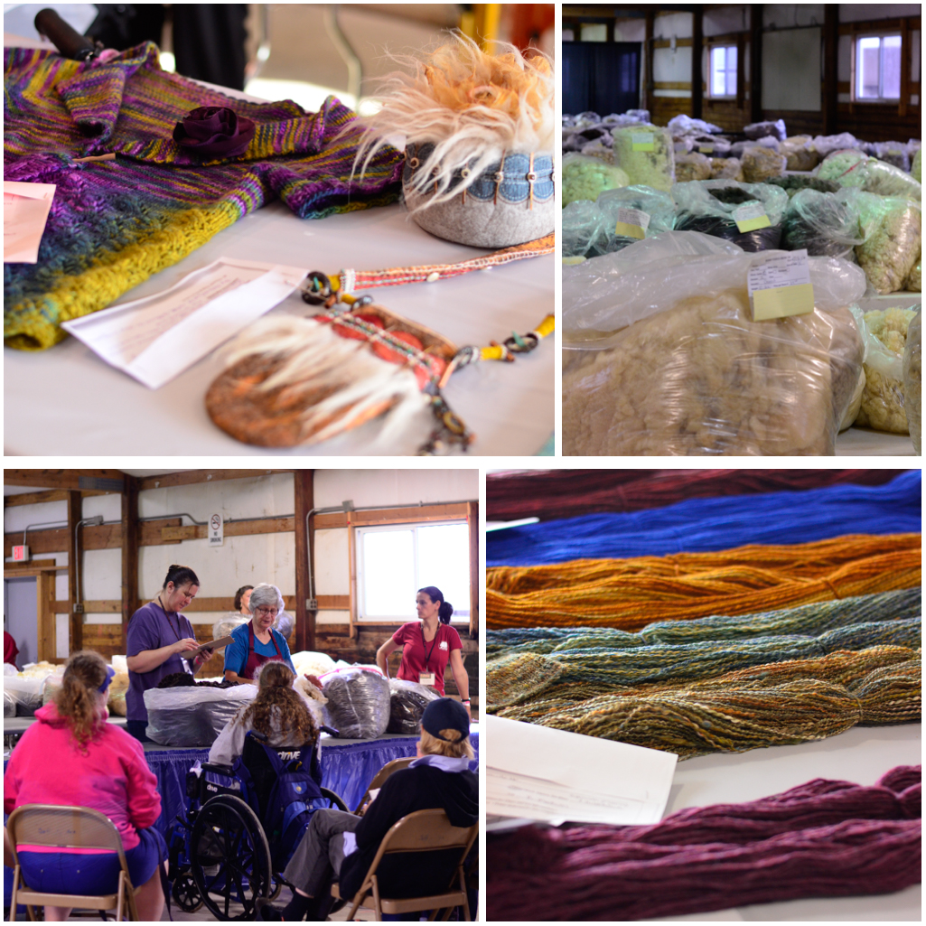 fleece auction and judging