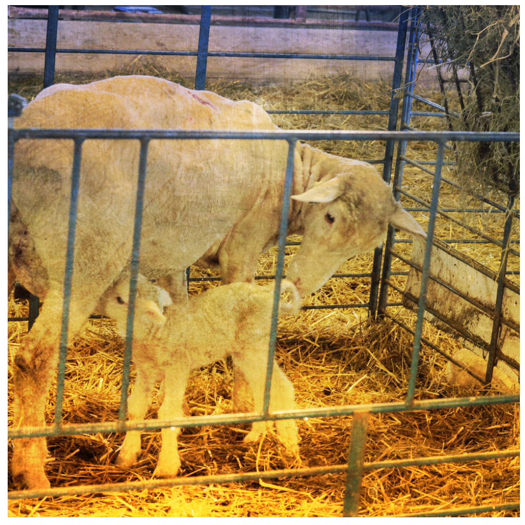 just born