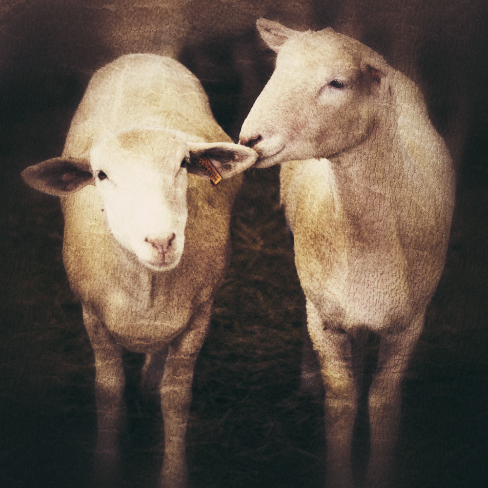 whispering sweet nothings