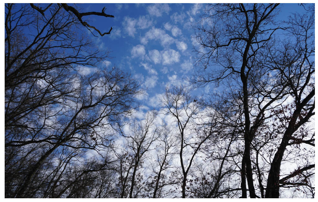 blue skies